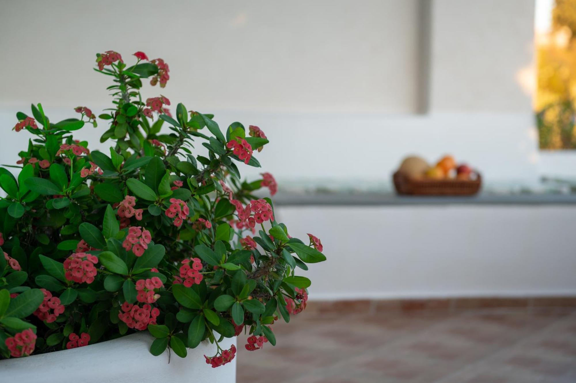 L'Eros Villa Grandma'S House Lakkion Ngoại thất bức ảnh